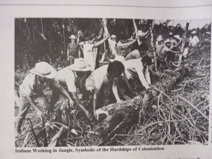 Colonizadores indígenas desmontan la selva del Ixcán, década 19701
